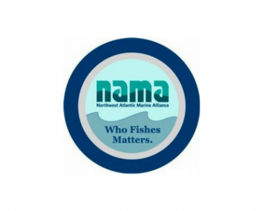 NAMA logo with green text inside of a blue circle