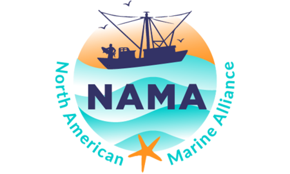 NAMA logo with blue text in front of waves and a ship